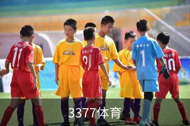 3377体育公司环境